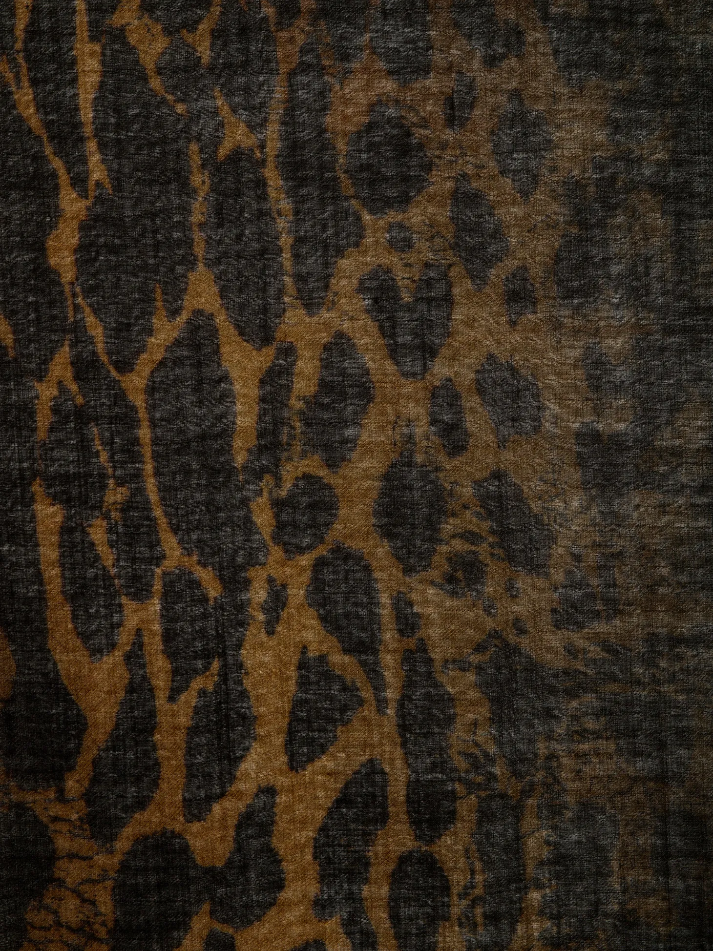 Sale Zadig & Voltaire Judy Scarf Latte